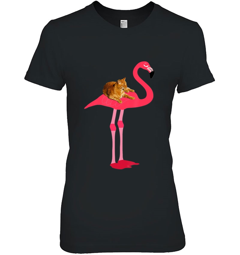 Funny Cat On Pink Flamingo, Cat Ridding A Bird, Mbassp Hoodie