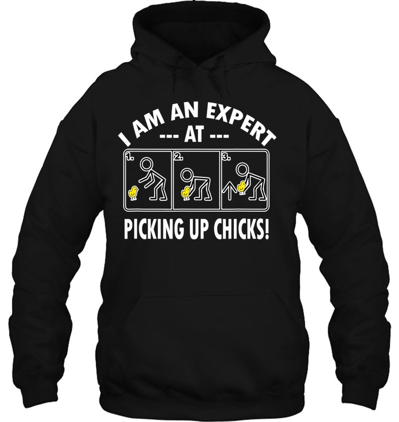 I Am An Expert At Picking Up Chicks Funny Chick Mugs