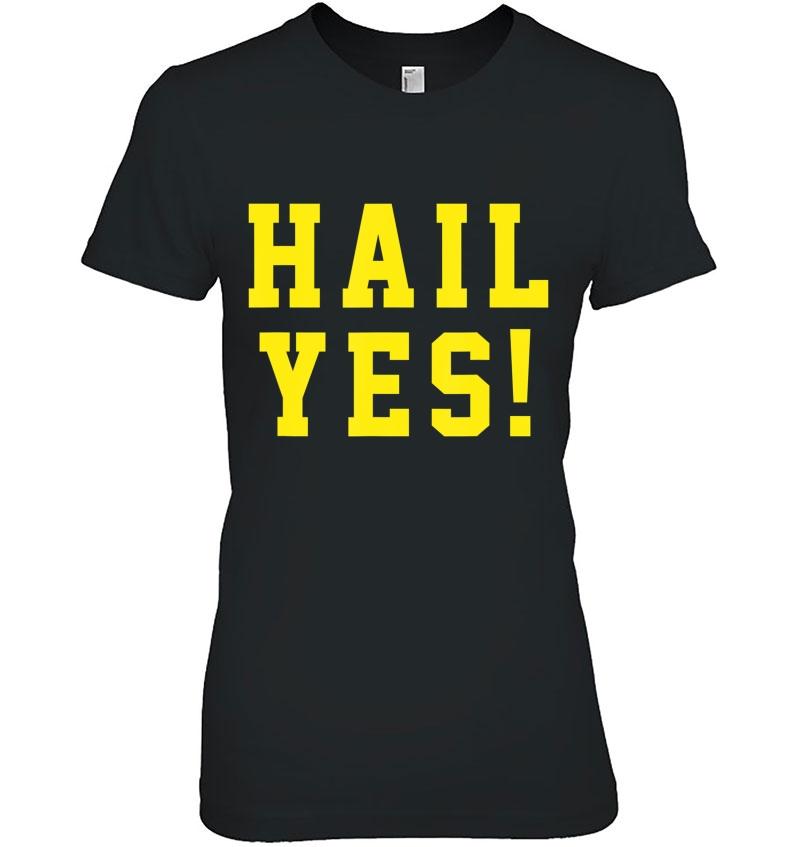 State Of Michigan Hail Yes! Shirt U M Ann Arbor Mi Aa Hoodie