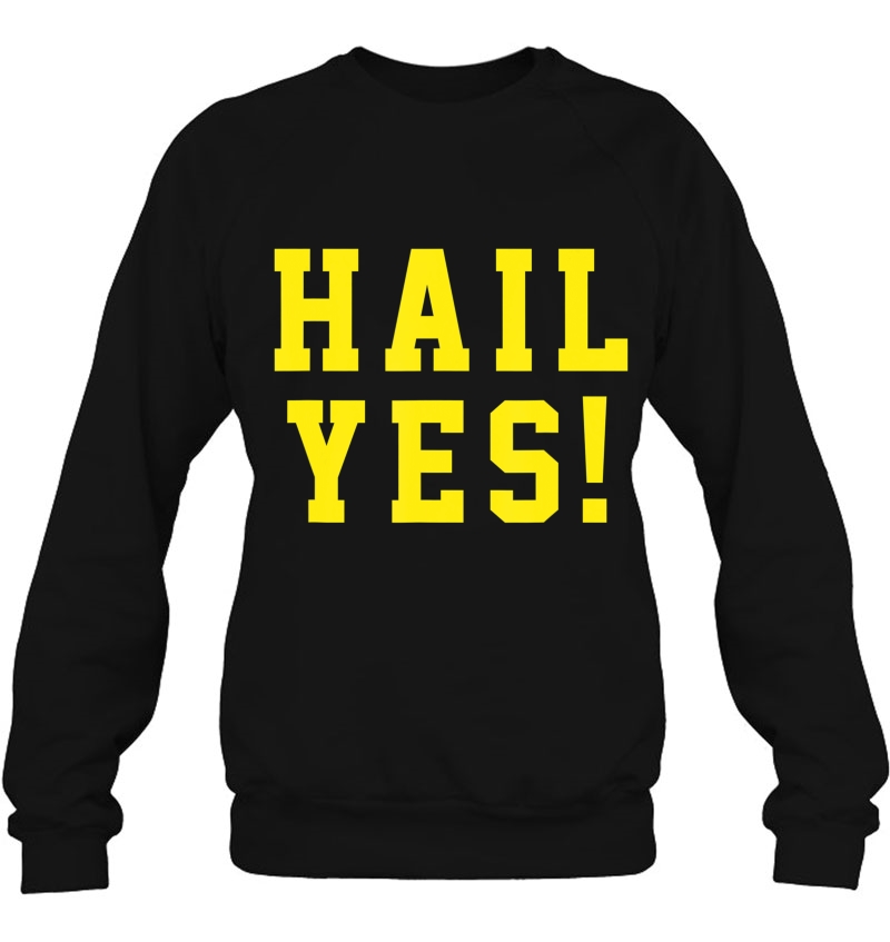 State Of Michigan Hail Yes! Shirt U M Ann Arbor Mi Aa Mugs