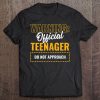 Warning Official Teenager 13Th Birthday Tee