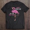 Flamingo With Glasses - Don't Make Me Put My Foot Down Tee