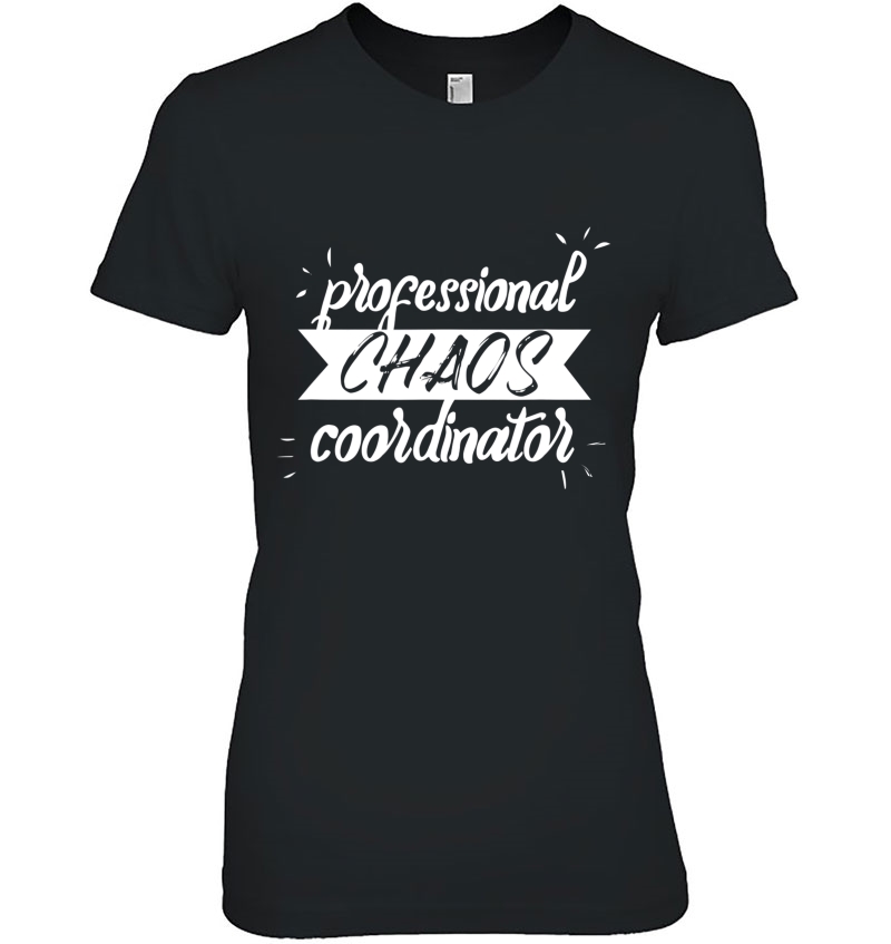 Professional Chaos Coordinator - Teacher Hoodie