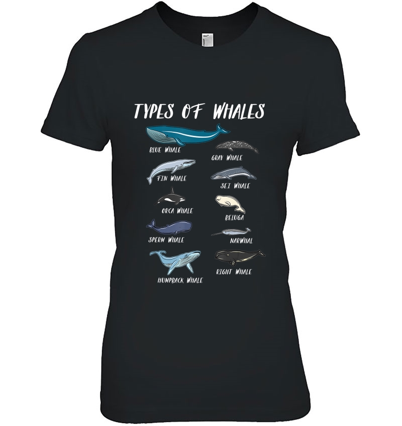 Types Of Whales Ocean Science Marine Biologist Teacher Hoodie