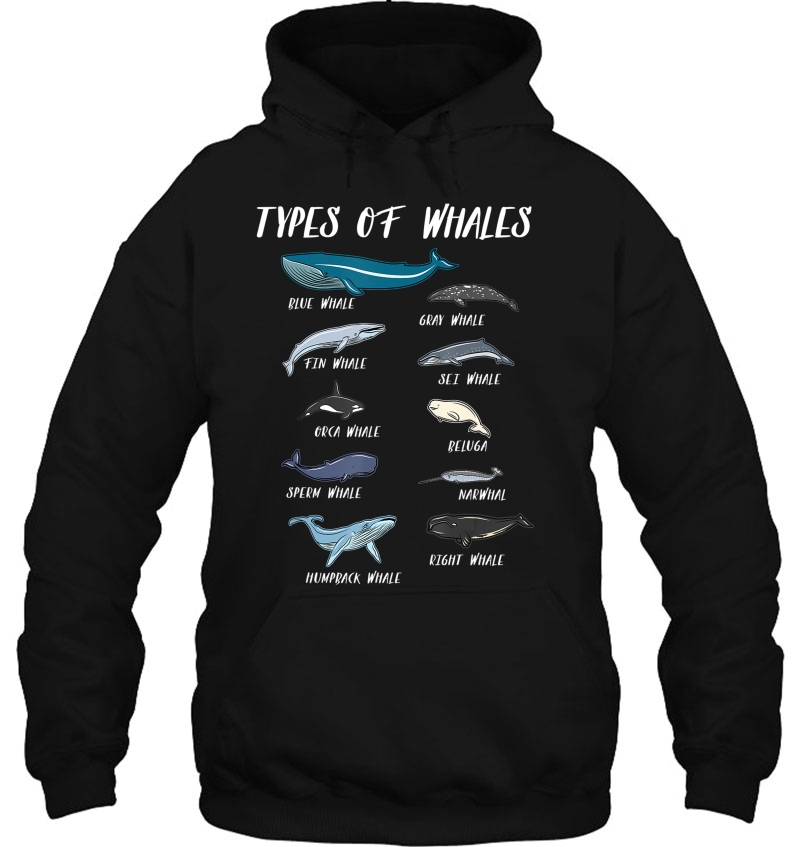 Types Of Whales Ocean Science Marine Biologist Teacher Mugs