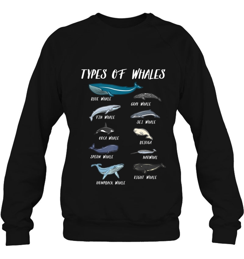 Types Of Whales Ocean Science Marine Biologist Teacher Mugs