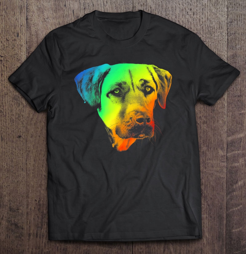 Black Mouth Cur Colorful Rainbow Retro Shirt