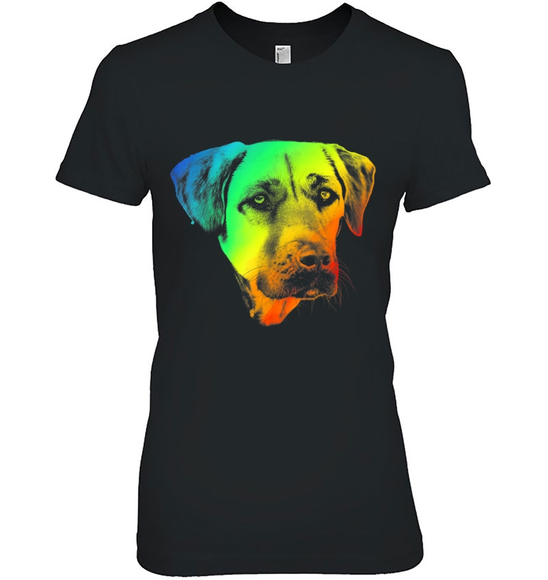 Black Mouth Cur Colorful Rainbow Retro Hoodie