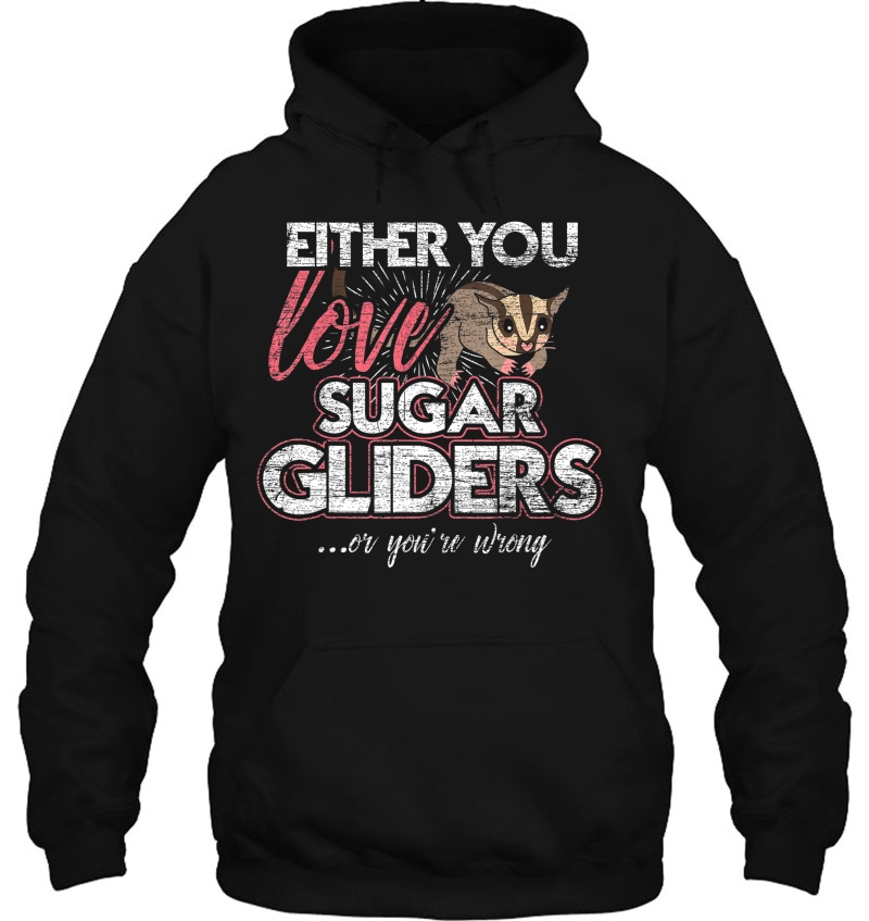 Either You Love Sugar Gliders Or Youre Wrong Hoodie