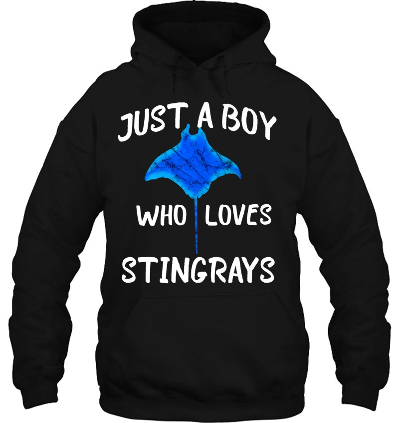 Just A Boy Who Loves Stingrays Manta Ray Water Animal Premium Hoodie