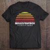 Lake Wallenpaupack Shirt - Retro Vintage Style Sunset Premium Tee