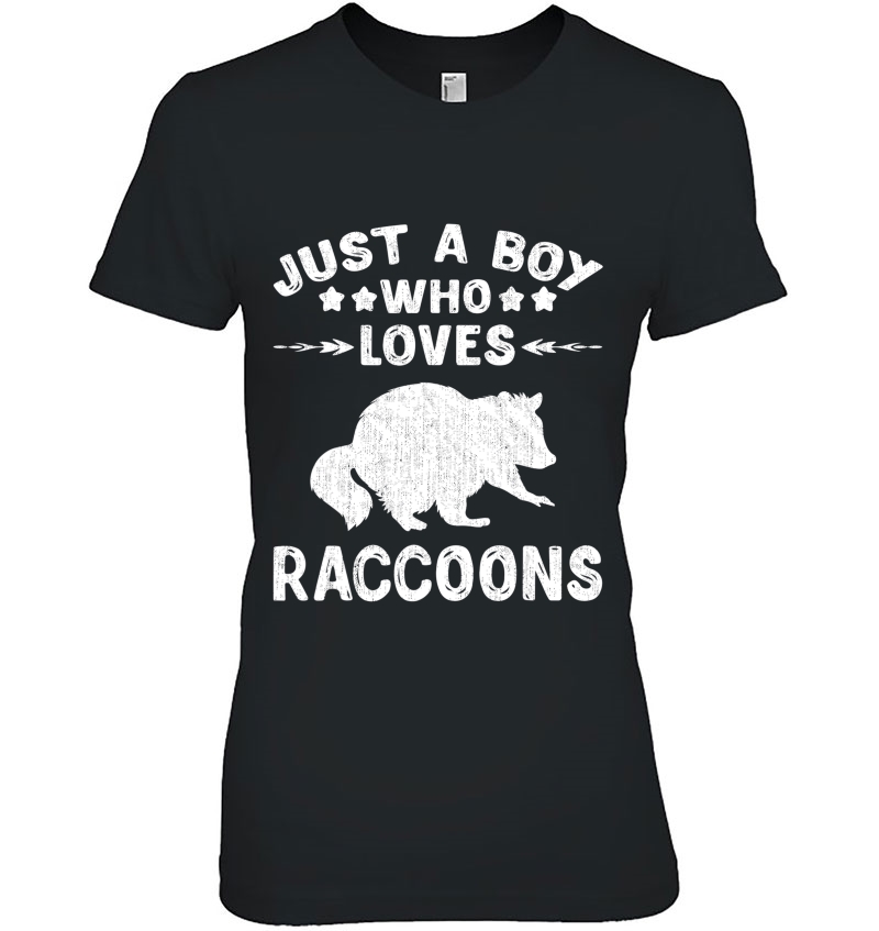 Just A Boy Who Loves Raccoons Tshirt Gift Raccoon Lover Ladies Tee