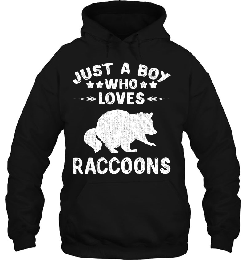 Just A Boy Who Loves Raccoons Tshirt Gift Raccoon Lover Hoodie