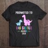 Promoted To Big Sister Again Shirt 2020 Dinosaur Tee