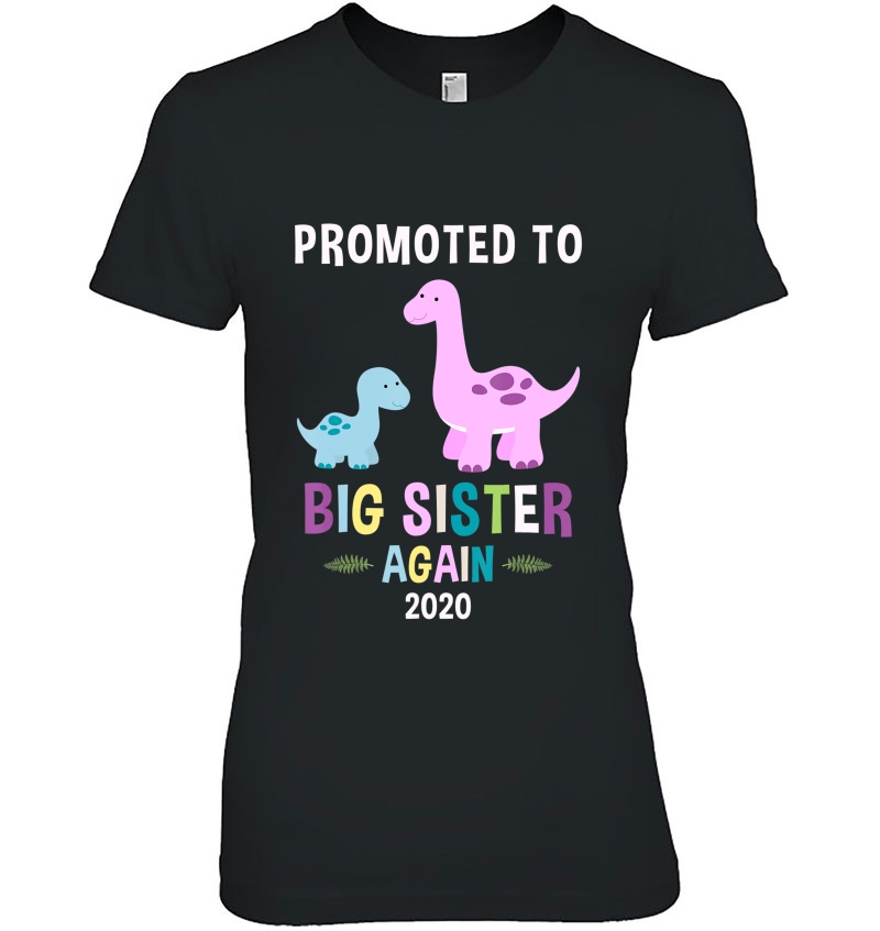 Promoted To Big Sister Again Shirt 2020 Dinosaur Hoodie