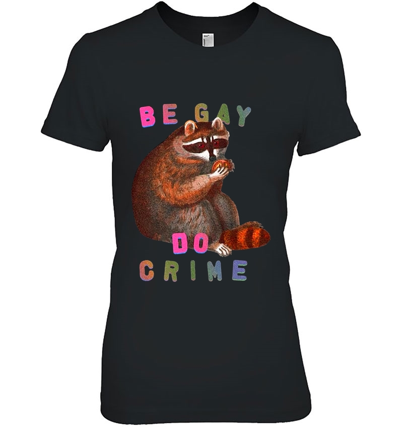 Be Gay Do Crime Raccoon LGBT Pride Hoodie