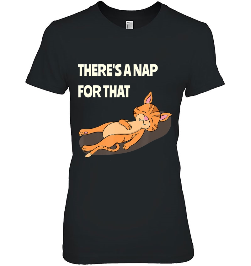 Funny Nap Cat For Lazy Couch Potatoes And Dreamer Ladies Tee