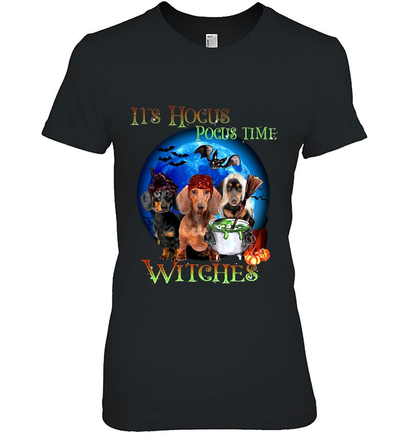 It's Hocus Pocus Time Witches Dachshund Halloween Hoodie