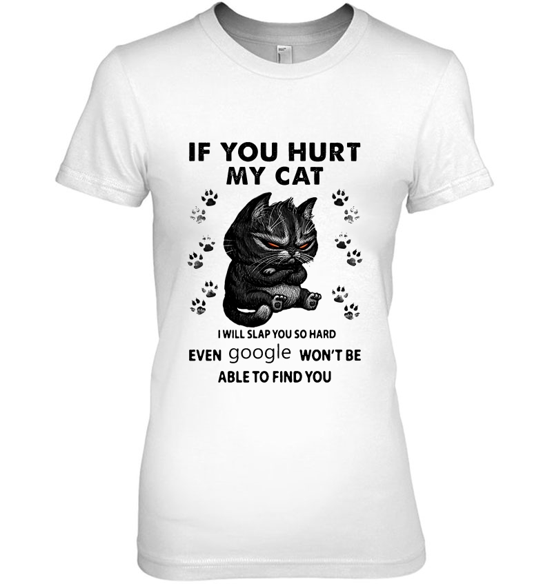 If You Hurt My Cat I Will Slap You So Hard Even Google Won