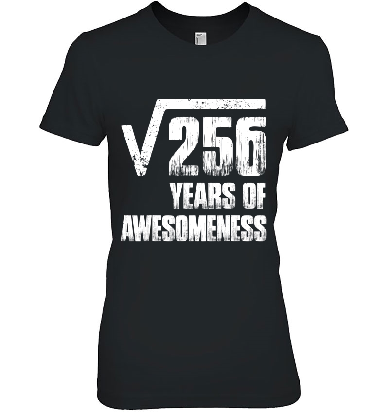 16Th Birthday Party Gifts For Boys, Square Root Of 256 Hoodie