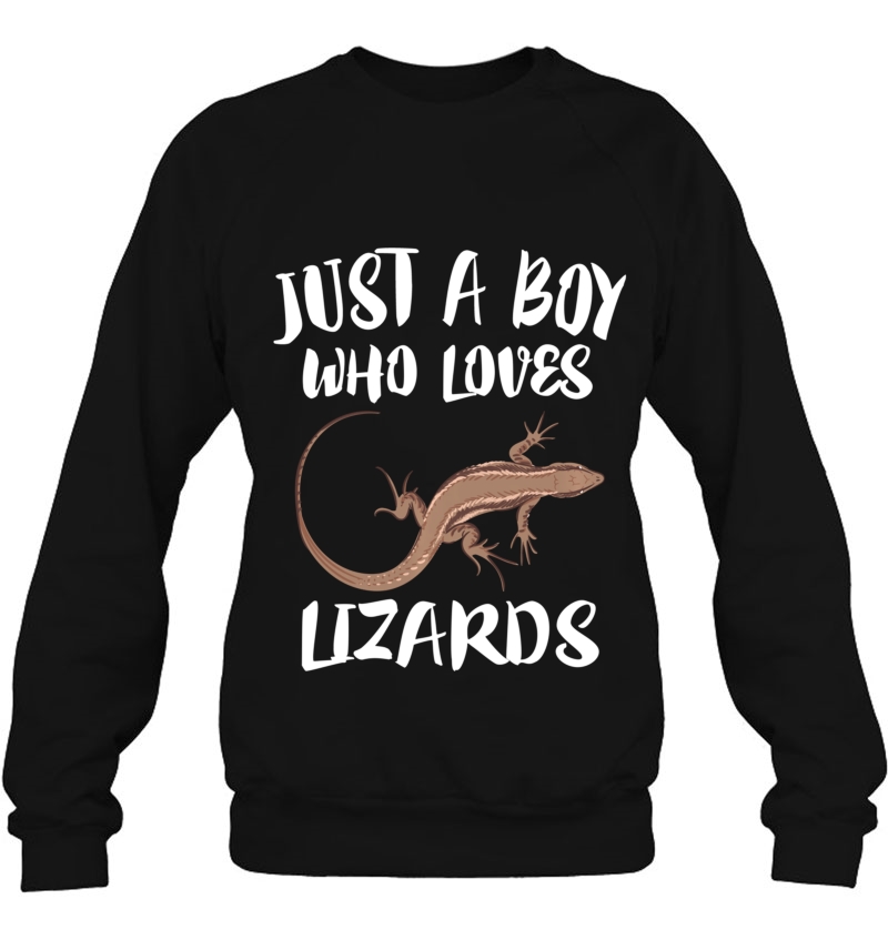 Just A Boy Who Loves Lizards Reptile Owner Gift Mugs