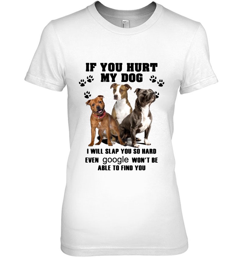 If You Hurt My Dog I Will Slap You So Hard Pitbull Lover Hoodie