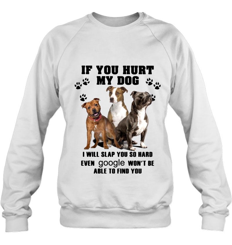 If You Hurt My Dog I Will Slap You So Hard Pitbull Lover Mugs