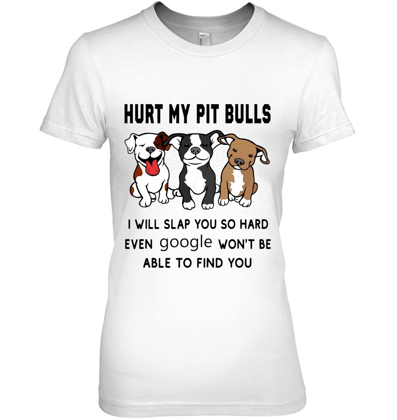 Hurt My Pit Bulls I Will Slap You So Hard Puppy Pitbull Hoodie