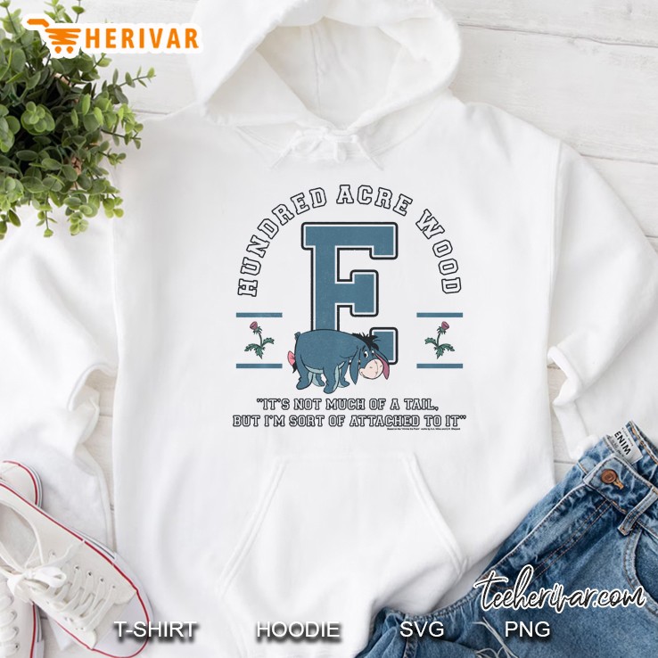 Winnie The Pooh Eeyore Hundred Acre Wood Pullover Hoodie