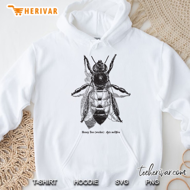 Honey Bee - Vintage Scientific Illustration Classic Hoodie