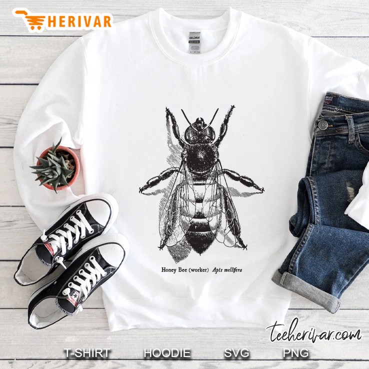 Honey Bee - Vintage Scientific Illustration Classic Sweatshirt