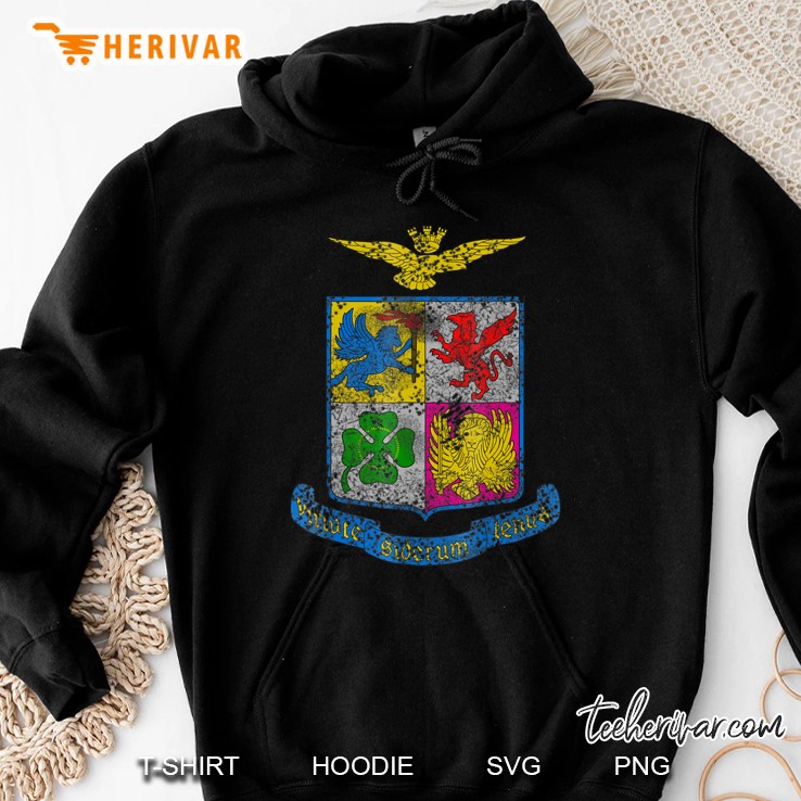 Italian Air Force Aeronautica Militare Emblem Hoodie
