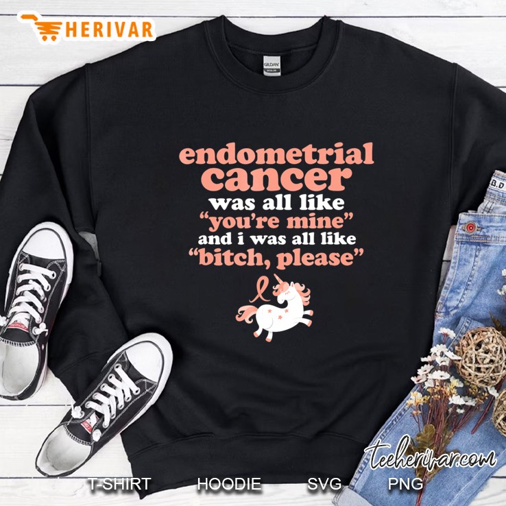 Funny Endometrial Cancer Fighter Bitch Please Unicorn Shirt Sweatshirt