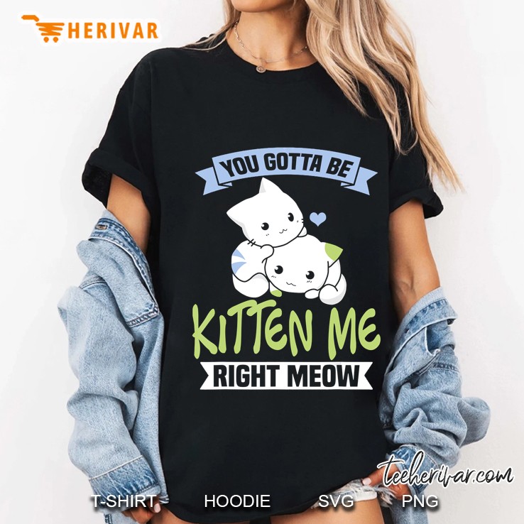 You Gotta Be Kitten Me Right Meow Cat Lover Ladies Tee