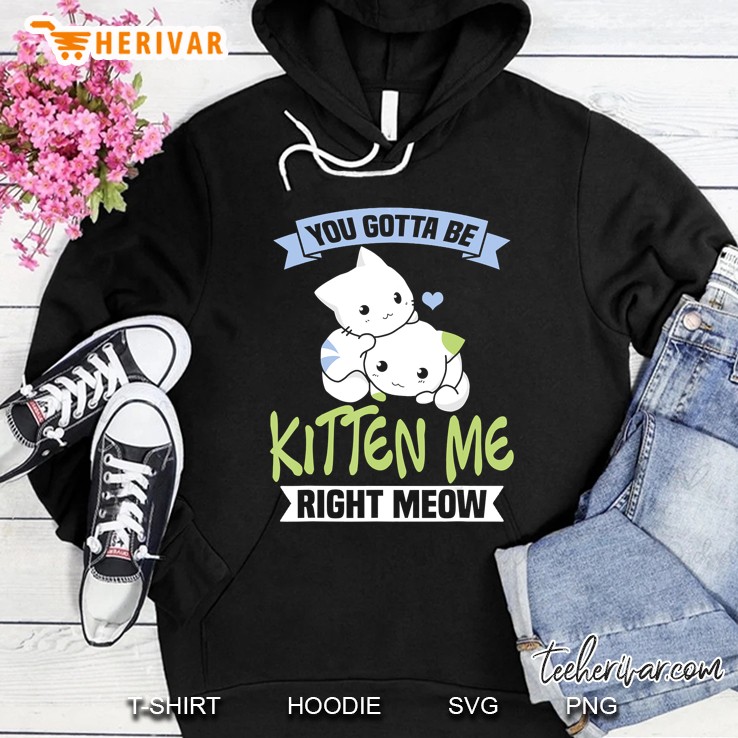 You Gotta Be Kitten Me Right Meow Cat Lover Hoodie