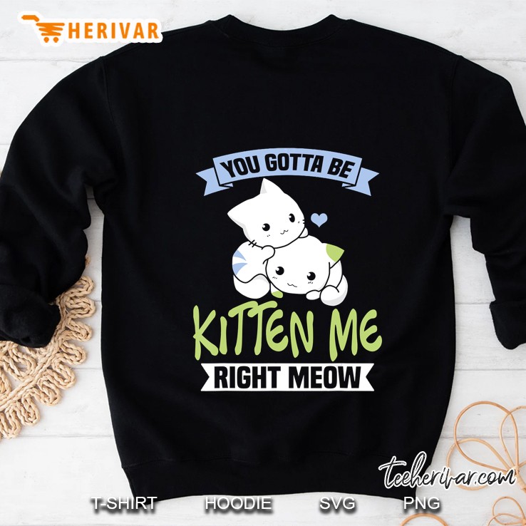 You Gotta Be Kitten Me Right Meow Cat Lover Sweatshirt
