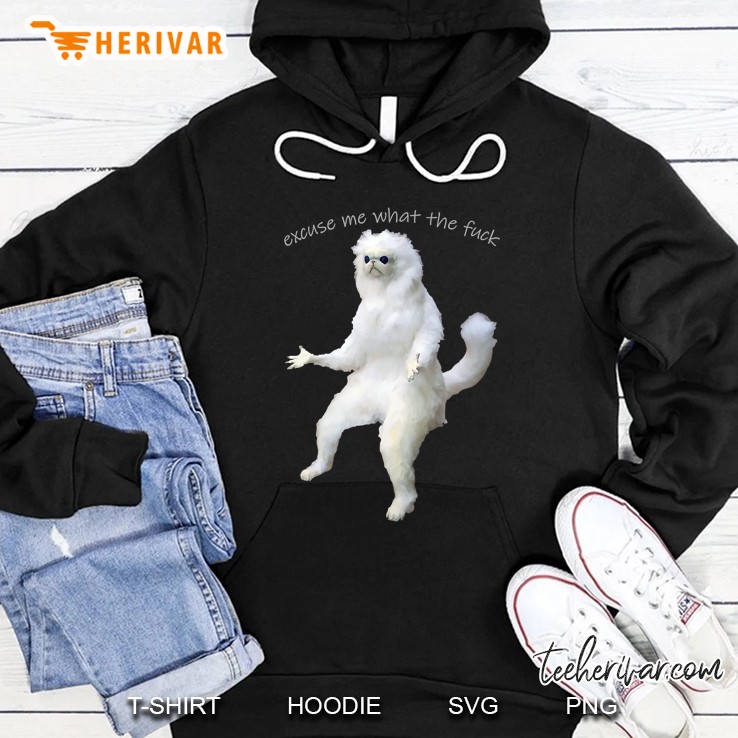 Excuse Me What The Fuck Shirt Persian Cat Room Guardian Meme Hoodie