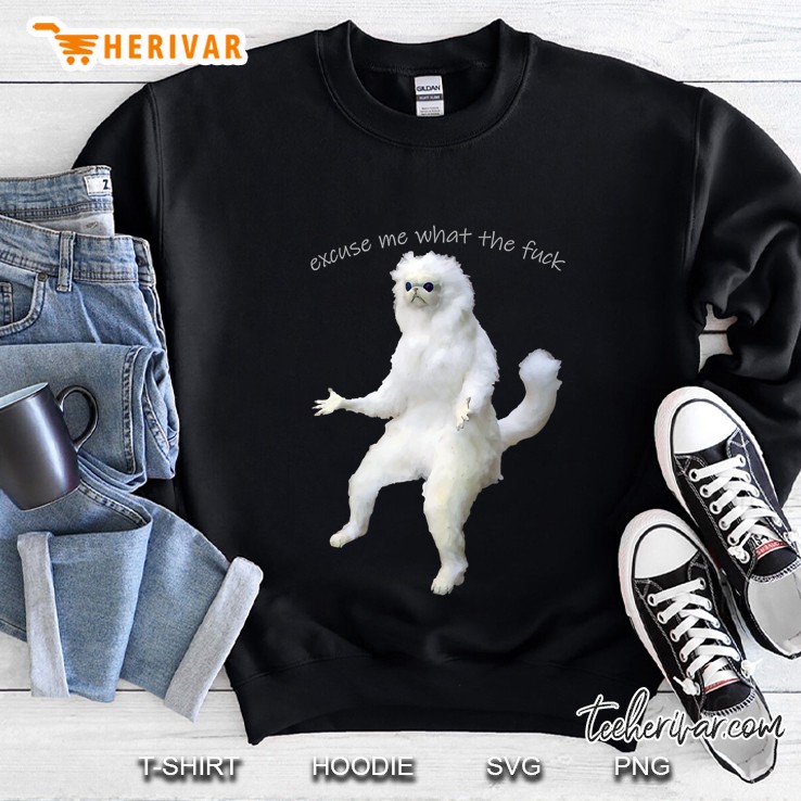Excuse Me What The Fuck Shirt Persian Cat Room Guardian Meme Sweatshirt