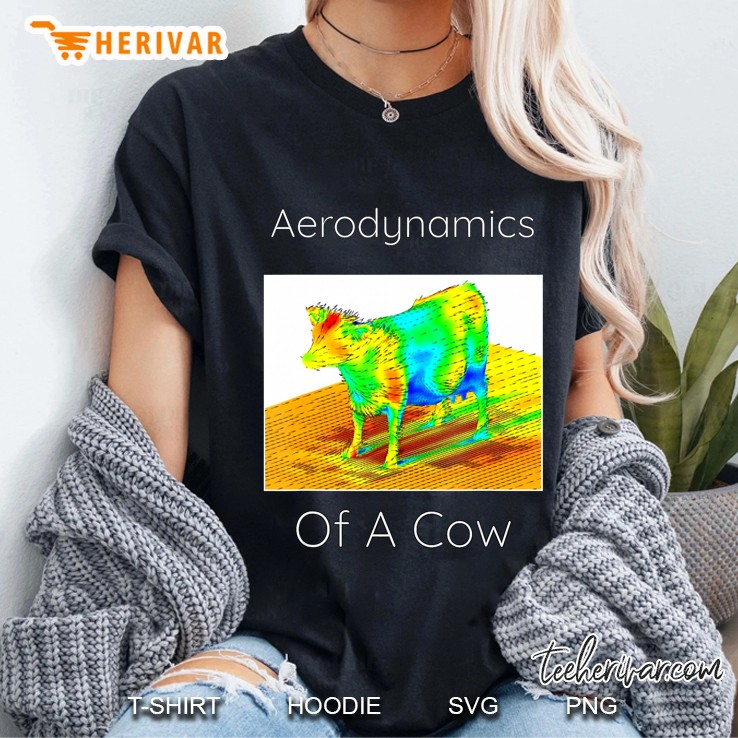 Aerodynamics Of A Cow Ladies Tee