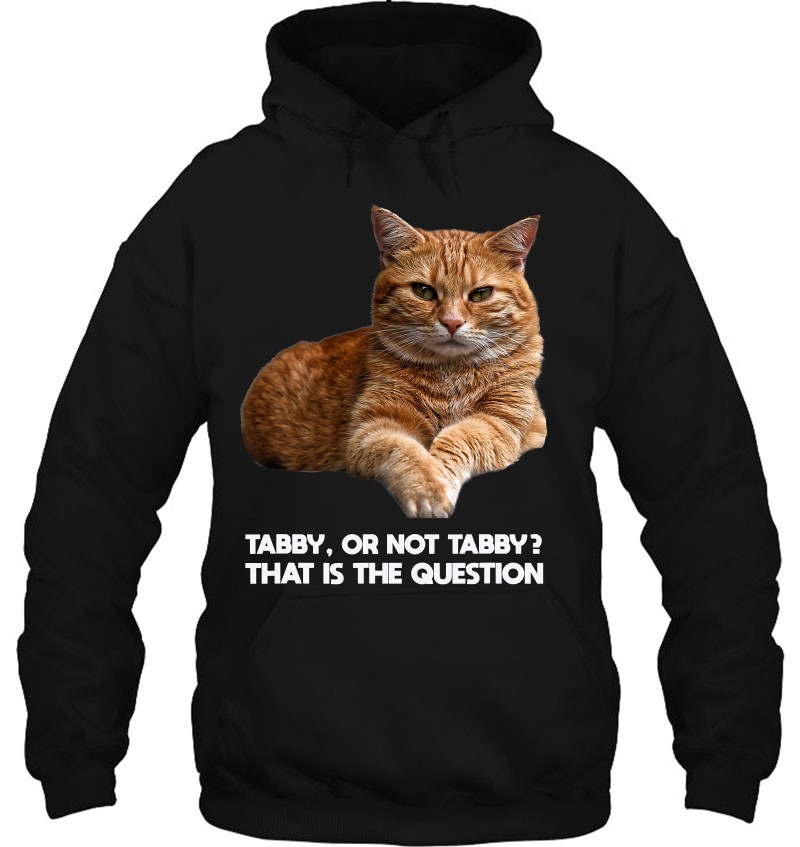 Orange Tabby Cat Funny Meme Gift