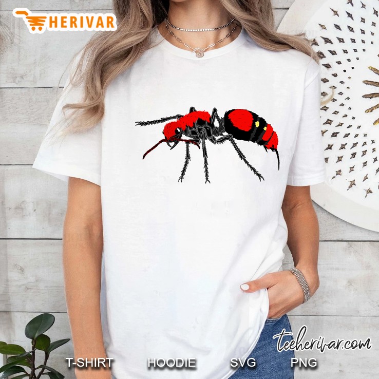 Velvet Ant Cow Killer Wasp ; Small Design Adults Kids Ladies Tee