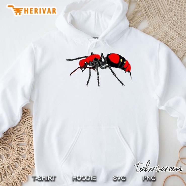 Velvet Ant Cow Killer Wasp ; Small Design Adults Kids Hoodie