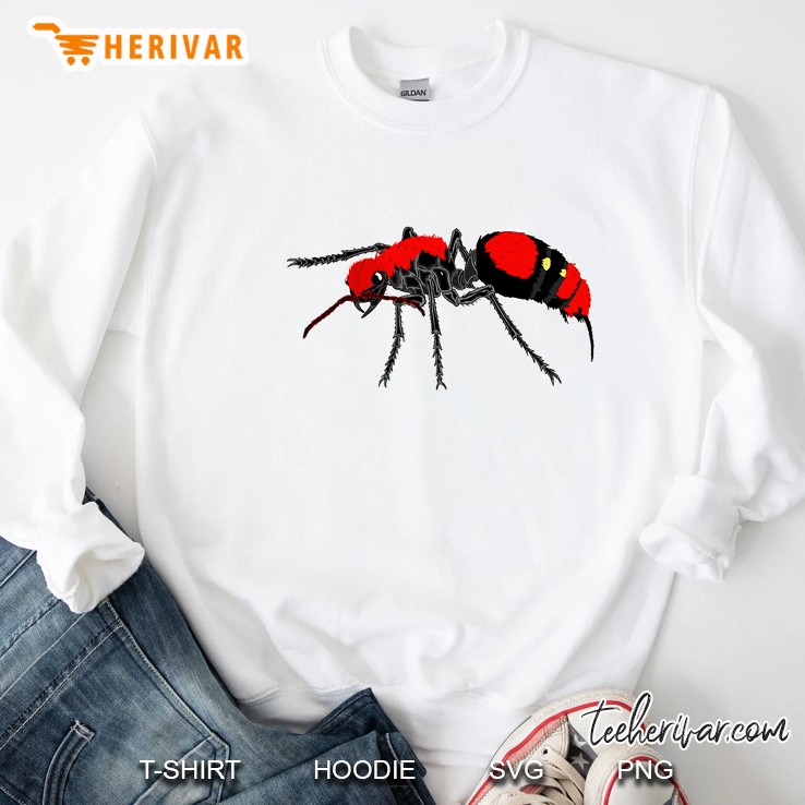 Velvet Ant Cow Killer Wasp ; Small Design Adults Kids Sweatshirt