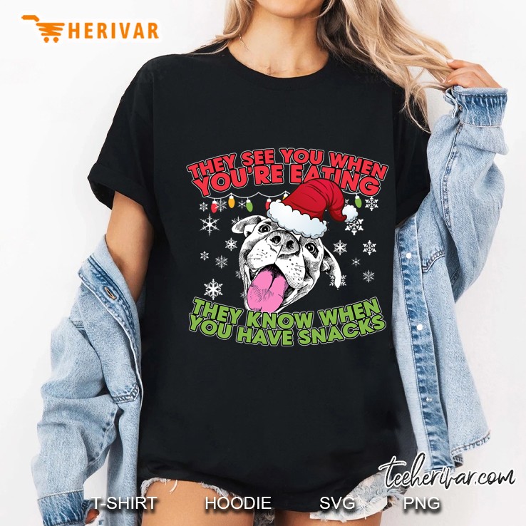 Christmas Pitbull Lover Gifts - Pitbull Christmas Ladies Tee