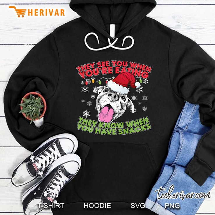 Christmas Pitbull Lover Gifts - Pitbull Christmas Hoodie