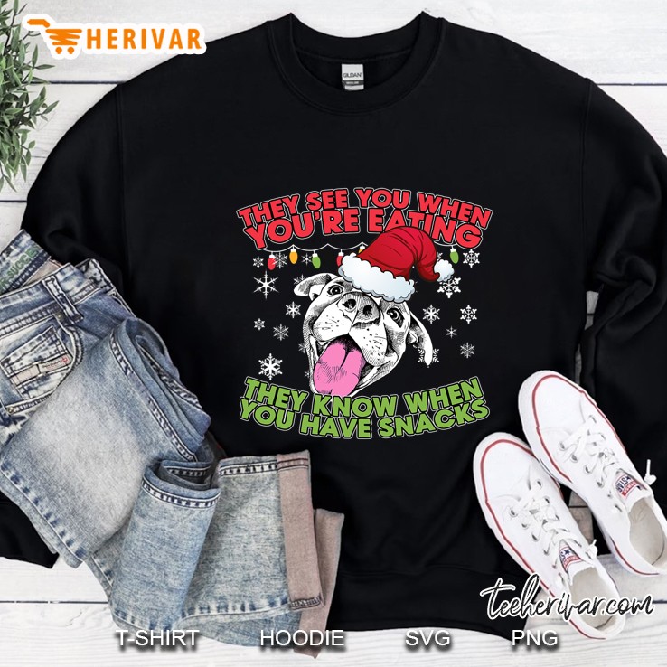Christmas Pitbull Lover Gifts - Pitbull Christmas Sweatshirt