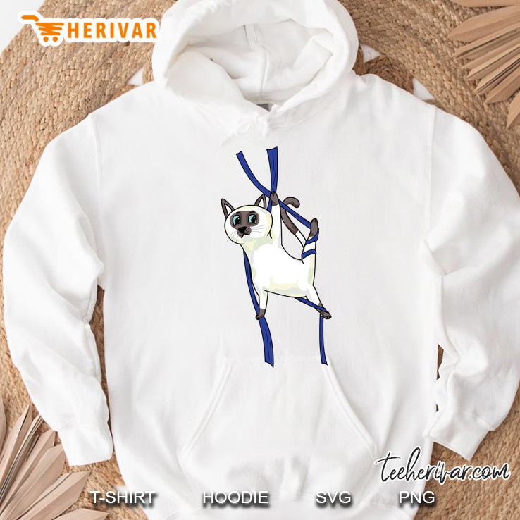 Aerial Silks Dancer Aerialist Air Yoga Acrobatics Cat Funny Hoodie