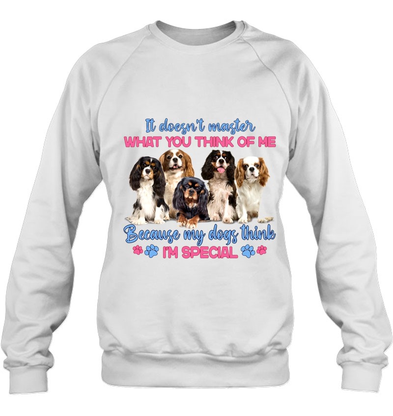 IF MY CAVALIER KING CHARLES SPANIEL DOESN'T LIKE YOU Funny Dog Lover T-Shirt