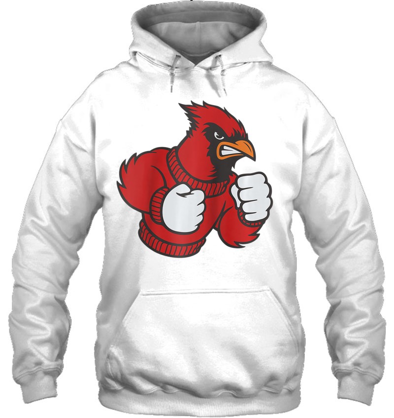  Cardinal Shirt - Fighting Cardinals Shirt - Mad Bird Graphic  Raglan Baseball Tee : Clothing, Shoes & Jewelry