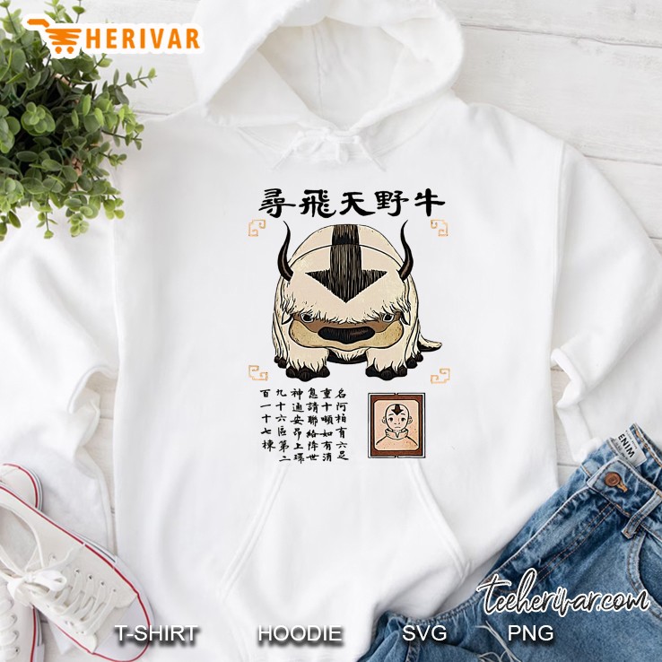 Appas Avatar The Last Airbender Hoodie